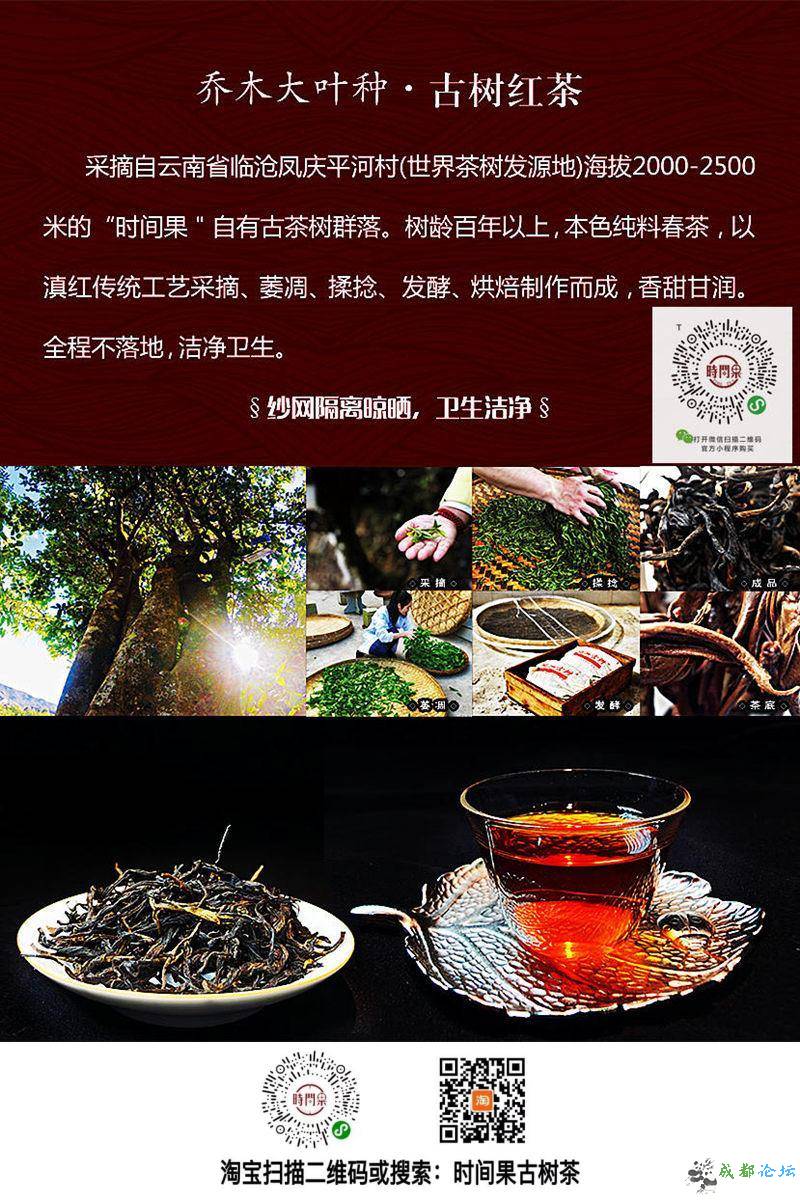 乔木大叶种，古树滇红茶.jpg